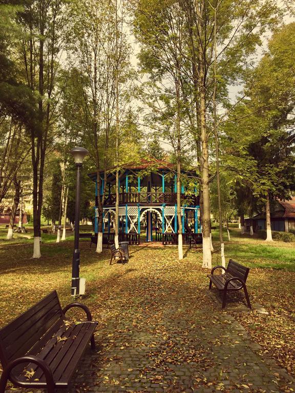 Vila Luminita Сынджорз-Бэй Экстерьер фото